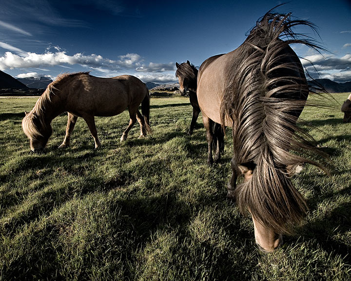 Blowing in the wind