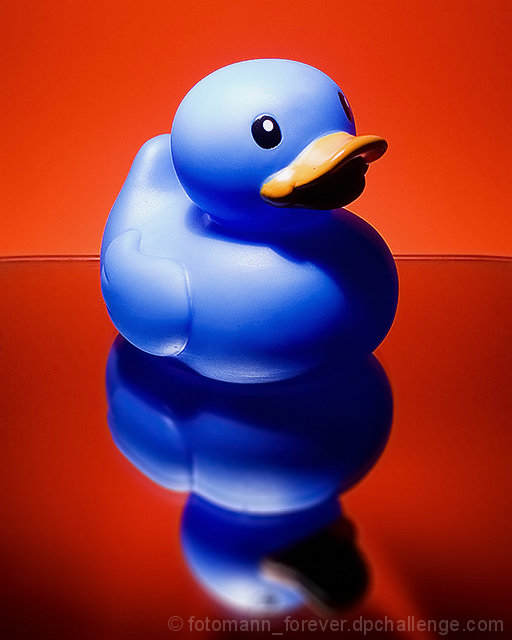 Complementary Ducky