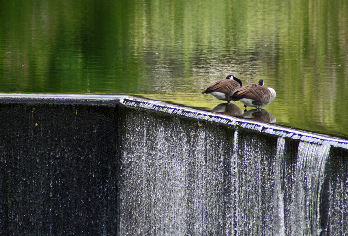 Resting on the edge