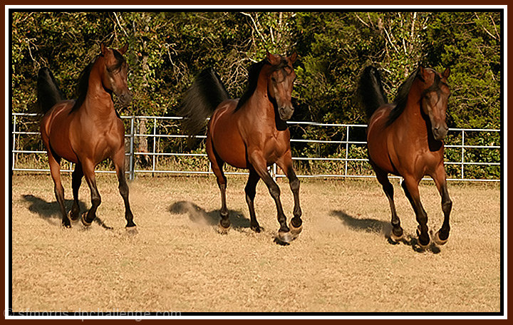 Three of a Kind