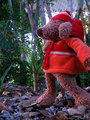 Bear Trax 