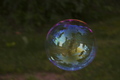 My World in a Bubble