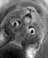 what's up or down....??