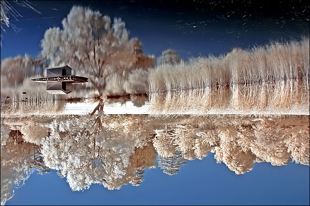 Reflections