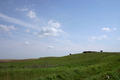 A Beautiful Day for Grazing