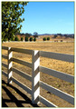 Golden Eagle Horse Ranch