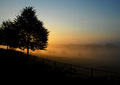 British Day Break