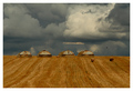 Summer Storm