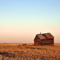 Lone Grainery