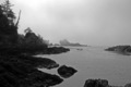 Fog Rolling In