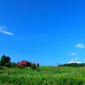 Summer Sky
