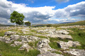 Yorkshire Dales