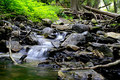 Mackinac Spring