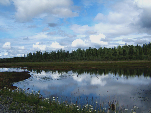 Cloud Lake