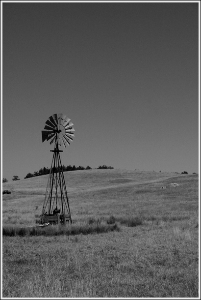 Out in the Country