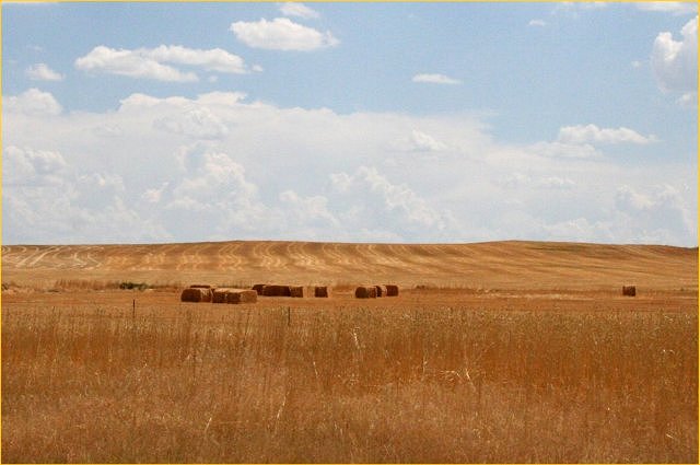 The Open Fields of Wyoming