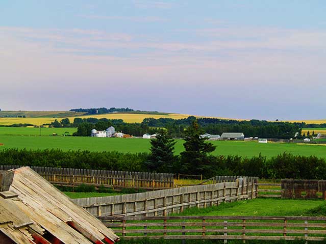 Country Life