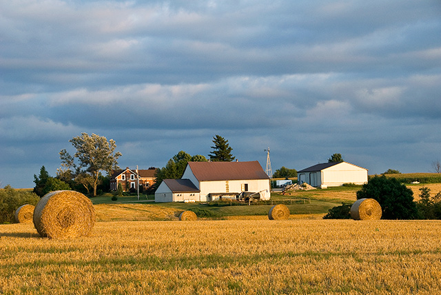 Homestead