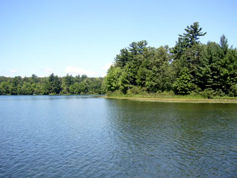 Landscape view from the fishing hole