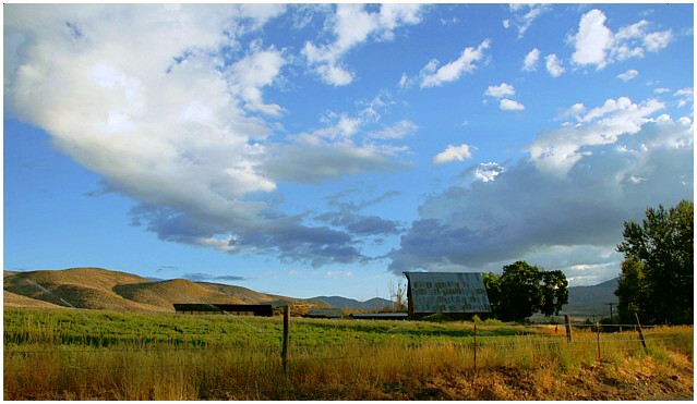 Summer Morning