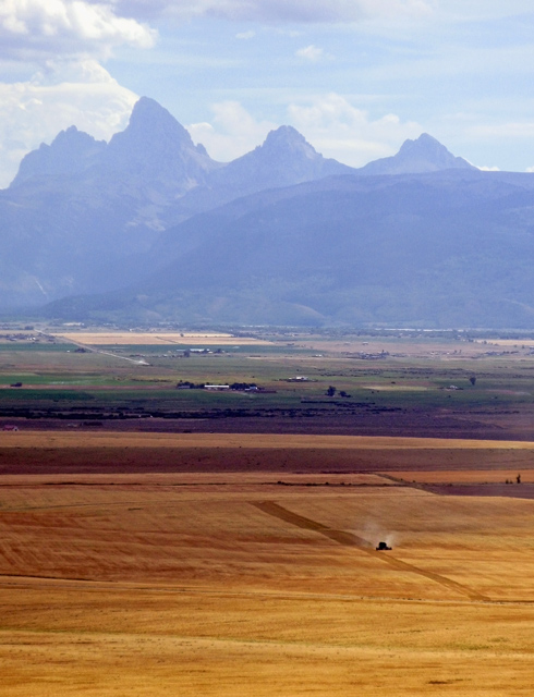 Farming in Teton Vally