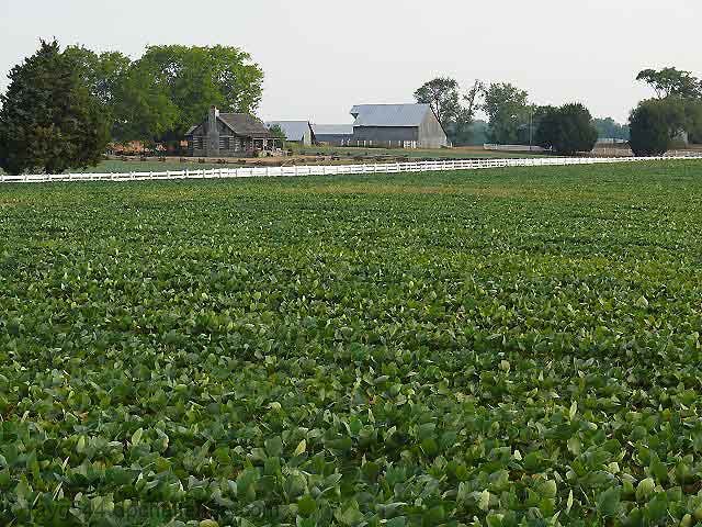 Old Time Farm