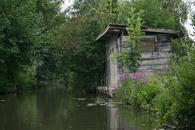 Along the river