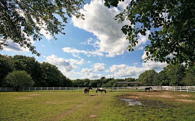 late summer afternoon