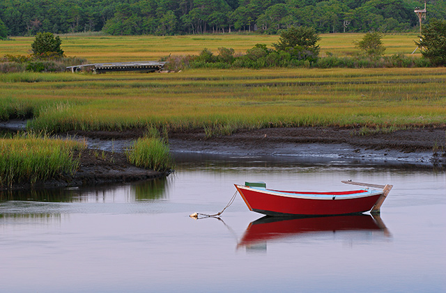 Tide Marsh, Summer Dusk