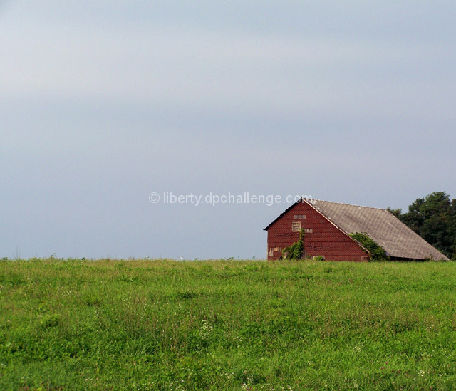 On A Hill, In A Field