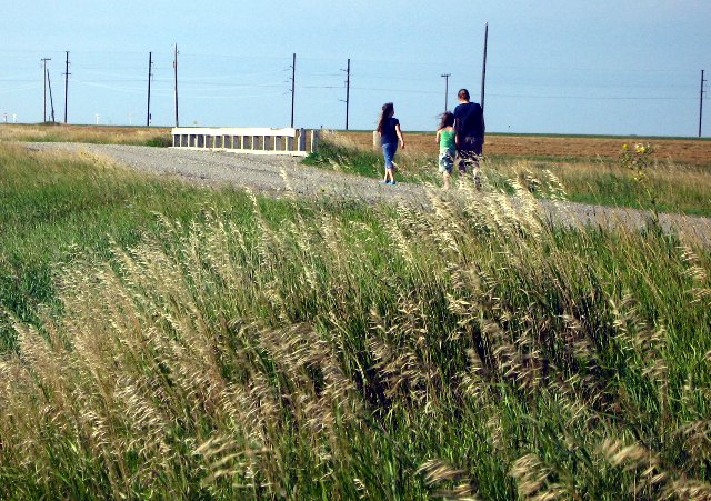 A Walk in the Prairie