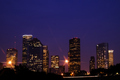 Houston Skyline