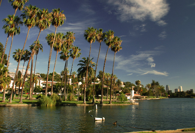 Oasis in the City
