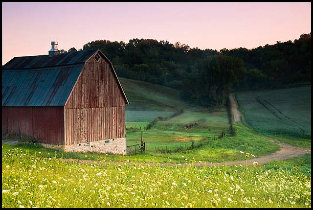 Morning Pastures