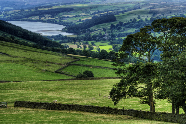 Towards Gouthwaite Reservoir