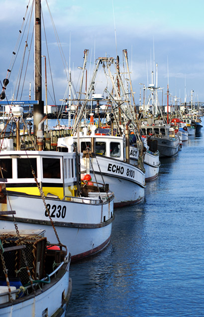 Fishing Boats