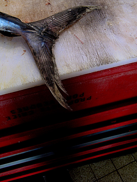 Wings