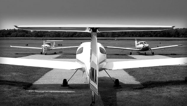 Wings at Wings Field