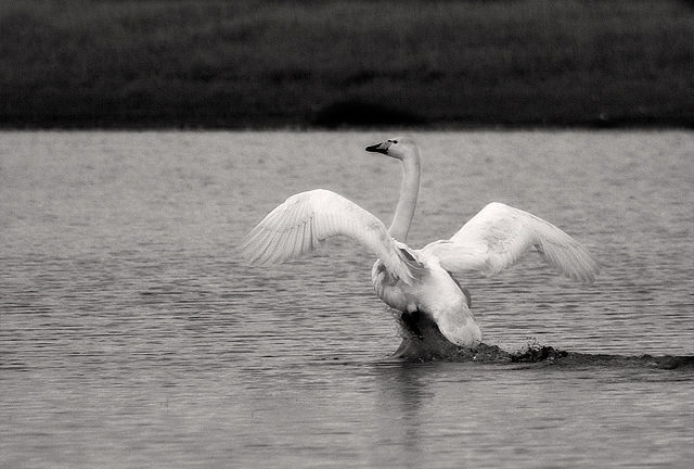 Taking off