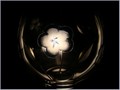 Crystal Flower