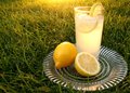 Fresh Homemade Lemonade