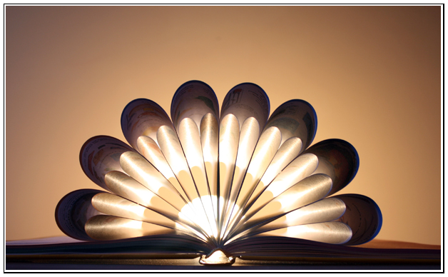 feathers of light