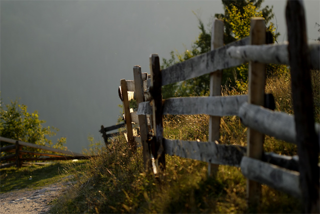 Path to the mist