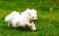 The cutest little thing