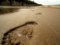 God's footprints in the sand