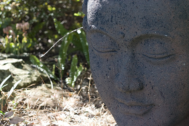 Backyard Buddha