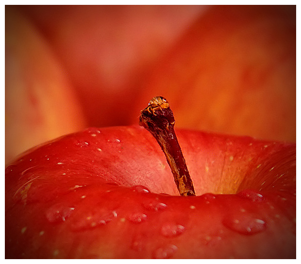 Apples and apples