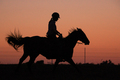 Sunset Gallop