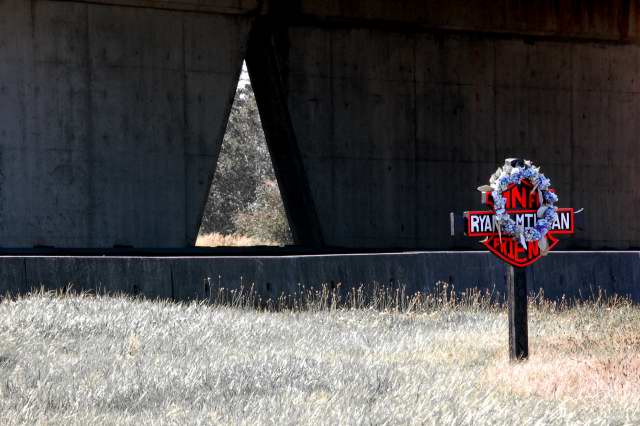 Roadside Reflection