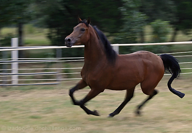 Out of the Barn